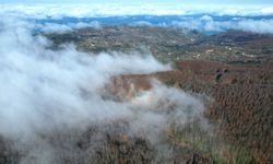 Kastamonu'da vadilere sis çöktü