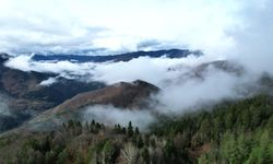 Yaralıgöz Dağı'nda sisle bütünleşen manzara büyülüyor