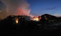 GÜNCELLEME - Çorum'da geri dönüşüm tesisinde çıkan yangın söndürüldü