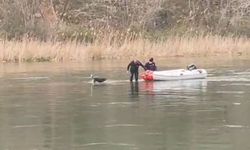 Samsun'da, Kızılırmak Nehri'nde mahsur kalan köpek kurtarıldı