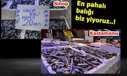 Aynı balık; Kastamonu'da 50, Sinop'ta 20 Lira...