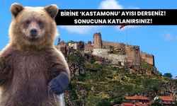 Birine Kastamonu Ayısı Derseniz: Sonucuna Katlanacaksınız!