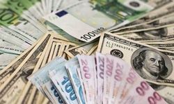 Hafta Ortasında Dolar ve Euro Ne Kadar Oldu ?
