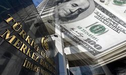 Türkiye Cumhuriyet Merkez Bankası Rezervleri Tarihi Zirveye Ulaştı