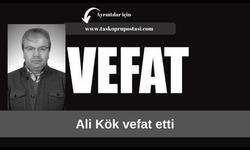 Ali Kök vefat etti