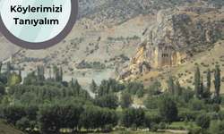 Anadolu’da tek örneği bu köyde! Taşköprü’nün gizli hazinesi