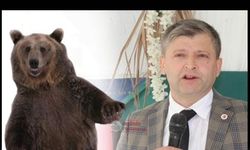 Kastamonu'da ki ayılar CİMER'e şikayet edildi..!