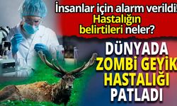 Yeni tehlike: Zombi Geyik Hastalığı!