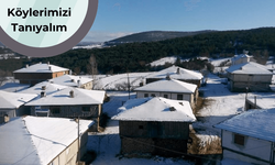 Geçmişi Osmanlı’ya uzanan Taşköprü’nün eşsiz köylerinden Sarıkavak