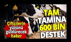 Çiftçilerin yüzünü güldürecek haber 'Bakanlıktan tam tamına 600 bin destek'