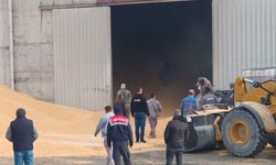 Feci iş kazası: Tonlarca mısırın altında kalan işçi hayatını kaybetti..!