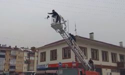 Kastamonu'da elektrik direğine takılan güvercini kurtardılar!