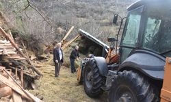 Artvin'de heyelanda çöken ahırdaki iki büyükbaş telef oldu