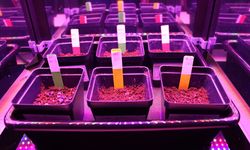 Karabük BİLSEM öğrencilerinin uzayda gıda ürünleri yetiştirmek için deneyleri sürüyor