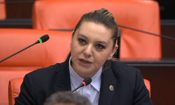 Kastamonu Milletvekili Ekmekci: Anne olarak lanetliyorum (video haber)