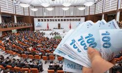 Milletvekillerinin maaşı 110 bin TL oldu: Hem milletvekili hem de emekliyse yaşadı!