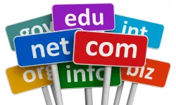 Domain Nedir? Nasıl Alınır? Domain Alırken Nelere Dikkat Edilmeli?