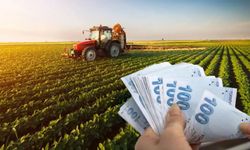 Çiftçiye ödenecek destek ödemeleri belli oldu
