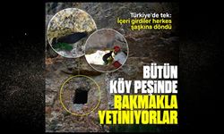 Son dakika...! Taşköprü ulusal basında gündem oldu..!