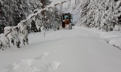 Kastamonu'da kar engeli sürüyor: 79 köy yolu kapalı!