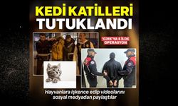 Kedilere eziyet eden caniler tutuklandı