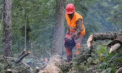 Kastamonu'daki orman köylüsüne müjde: 45 milyon TL faizsiz kredi..!