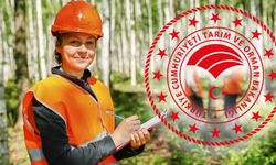 Kastamonu'da var! Tarım ve Orman Bakanlığı işçi alımı başvuruları başladı! Tarım işçisi alım şartları nedir?