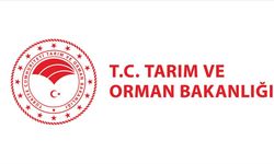 Tarım ve Orman Bakanlığı’nda iş fırsatı! Başvurular yarın başlıyor!