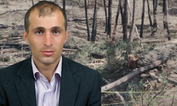 Kastamonu'da kestiği ağaç üzerine devrildi: 1 işçi ağır yaralandı