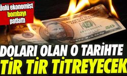 Ünlü ekonomist bombayı patlattı: Doları olan o tarihte tir tir titreyecek!