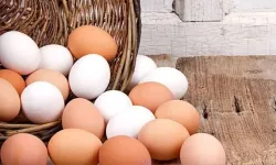 Yumurta yerken buna dikkat! Meğer zararlıymış!