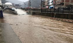 Artvin'de kar ve sağanak hayatı olumsuz etkiledi