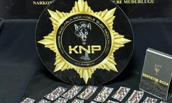 Karabük'te uyuşturucu operasyonunda 2 şüpheli tutuklandı