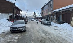 Sosyal medyada canlı yayınlarla tanıtılan Giresun'daki yaylaların popülerliği artırıyor