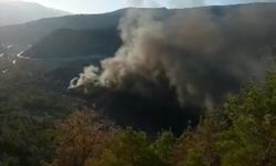 Tokat'ta çıkan örtü yangını söndürüldü