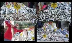 Kastamonu'da balık fiyatları dört katı! Kastamonu'da 120 Lira, Samsun'da 30!