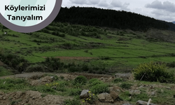 Osmanlı’dan günümüze zengin topraklarıyla Yeşilyurt köyü