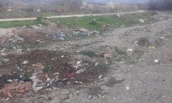 Taşköprü'nün bu köyünde çöpler her yerde! Vatandaş isyan etti