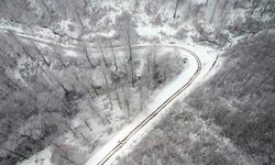 Masalsı görüntü büyüledi: Kastamonu'da kar yağışı etkisini sürdürüyor!