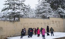 Kastamonu'ya kar yağışına en çok çocuklar sevindi: Çocuklar doyasıya eğlendi