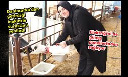 Taşköprü'nün girişimci kadını günde 2 buçuk ton süt üretiyor