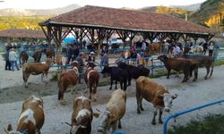 Kastamonu’da hayvan pazarı kapatıldı!