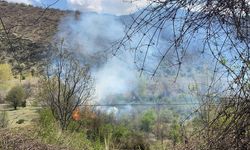 Kastamonu - Çankırı karayolunda orman yangın çıktı! (video haber)