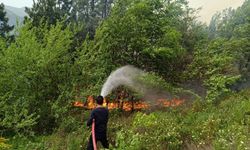 Kastamonu'da orman yangını: Ekiplerin müdahalesi sürüyor!