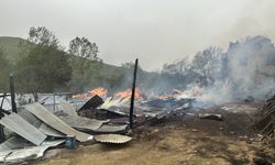 Kastamonu'da korkunç yangın: 3 ev, 2 ahır ve 1 samanlık alevlere teslim oldu!