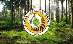 Unutmayın başvurular yarın başlıyor: Kastamonu'da Orman Genel Müdürlüğü personel alımı yapacak