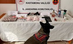 Kastamonu'da operasyon: 6 gözaltı, 3 tutuklu!