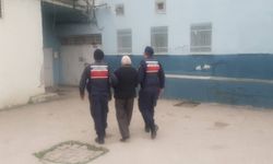 Kastamonu'da tarlasına 371 kök kenevir dikti! Jandarmanın enselediği şüpheli tutuklandı