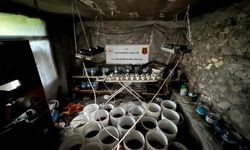Kastamonu'da evlerini uyuşturucu imalathanesine çeviren şahıslara operasyon: 2 gözaltı