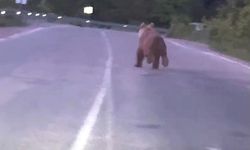 Yanıbaşımızdalar! Bizimkiler ve onlar yollarda cirit atıyor! (video haber)